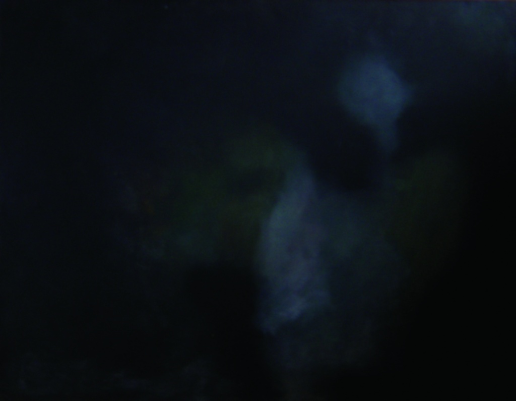 Untitled 3